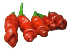 Seeds - Chile Peter Pepper Red - Chile Mojo