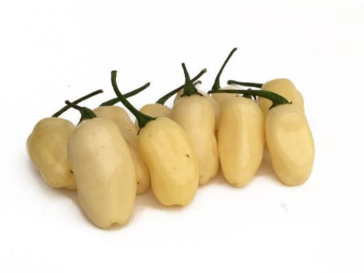 Seeds - Chile Habanero White Jellybean