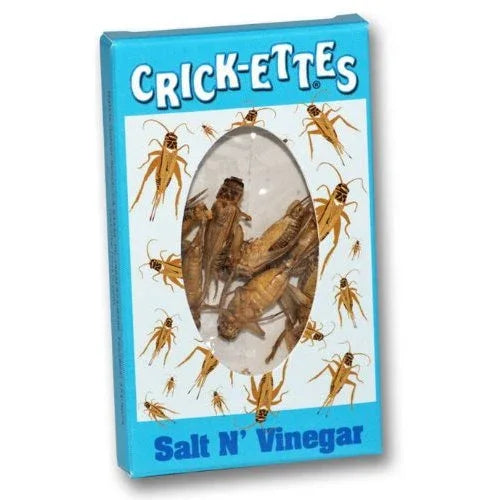 Hotlix Crickettes Insect Snack Salt and Vinegar 1.4gm - best before 5-8-25 - Chile Mojo