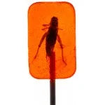 Hotlix Cricket Orange Sucker 28gm - best before Apr 2025 - Chile Mojo