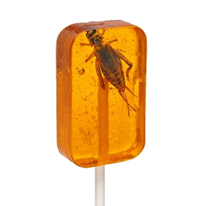 Hotlix Cricket Orange Sucker lollipop