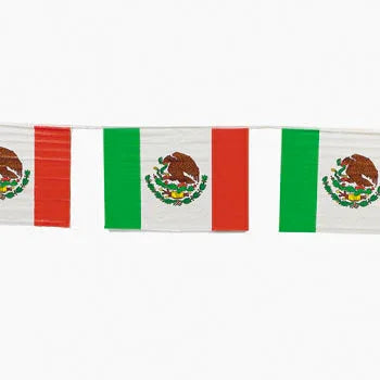 Mexican Flag Banner 7.3 metres (24ft) long - Chile Mojo