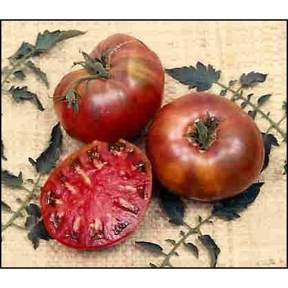 Seeds - Tomato Cherokee Purple 