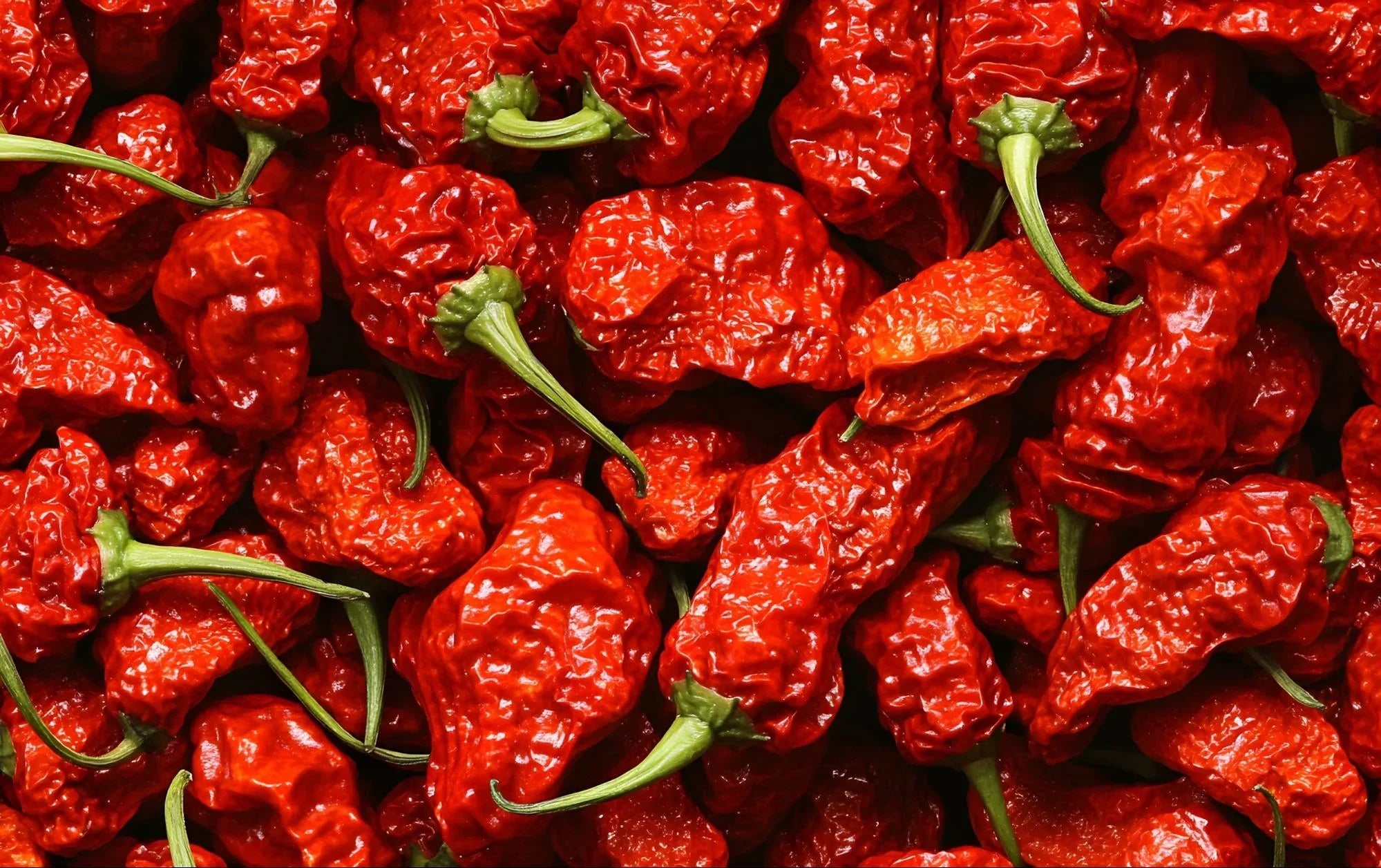 Carolina Reaper - Chile Mojo