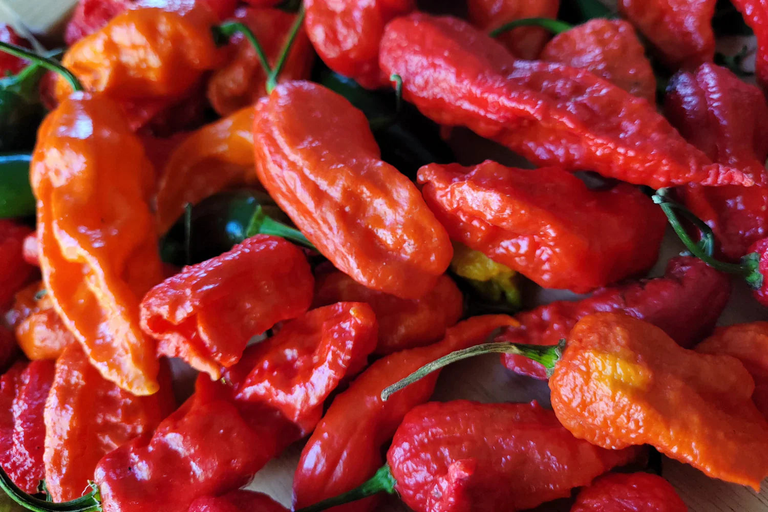 Ghost Pepper