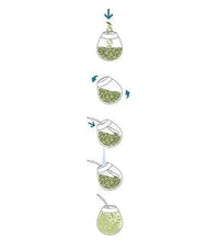 Yerba Mate 500gm Playadito con palo (with stems) - Chile Mojo