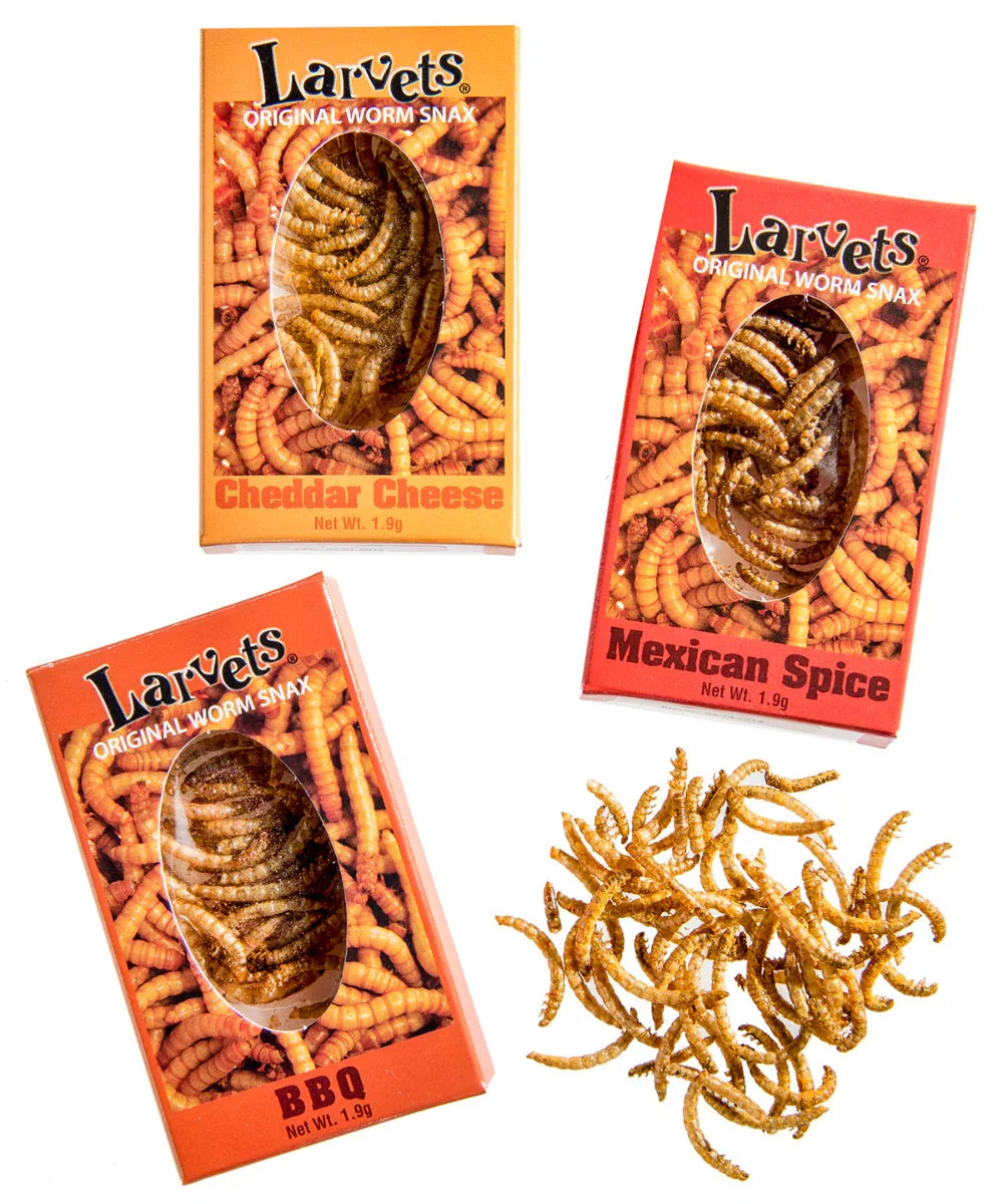 Hotlix Larvets Insect Snack Mexican Spice 2gm - best before Apr 2025 - Chile Mojo