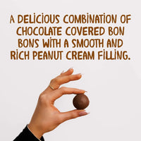 Bon o Bon Argentinian Chocolate Bonbon with peanut filling - box of 30 - Chile Mojo