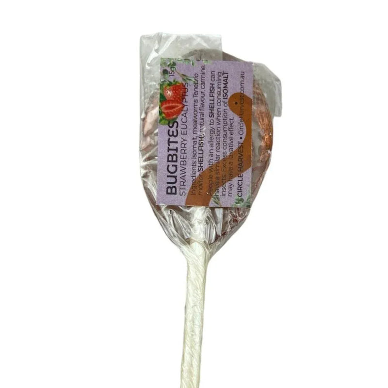 BugBites Real Australian Edible Lollipop - Strawberry Eucalyptus with worm - Chile Mojo