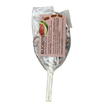 BugBites Real Australian Edible Lollipop - Watermelon with Ants - Chile Mojo
