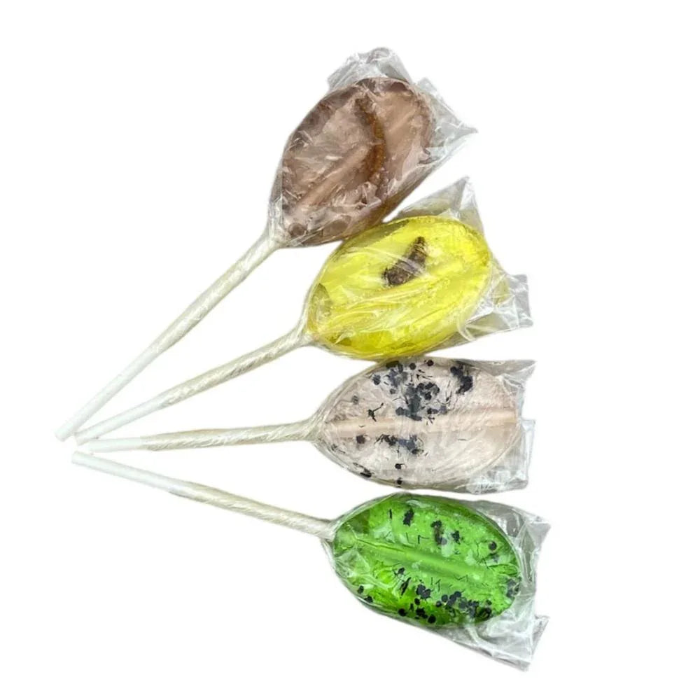 BugBites Real Australian Edible Lollipop - set of 4 - Chile Mojo