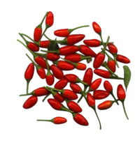 Seeds - Chile Pequin - Chile Mojo