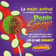 Chompys Pepin Salvaje - Spicy Cucumber Lollipop - Chile Mojo