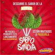 Chompys Sabro Sandia - Spicy Watermelon Lollipop - Chile Mojo