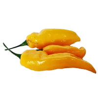 Seeds - Chile Fatalii - Chile Mojo
