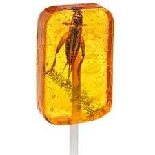 Hotlix InsectNside Amber Sucker 28gm - best before Jan 2025