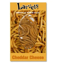 Hotlix Larvets Insect Snack Cheddar 2gm - best before Apr 2025 - Chile Mojo