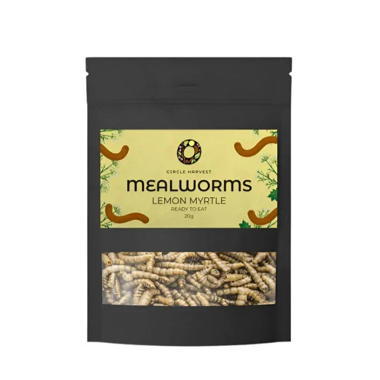 Circle Harvest Mealworm Snacks - Lemon Myrtle 20gm - Chile Mojo