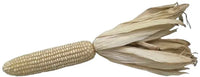 Seeds - Corn Maize White Silvermine - Chile Mojo