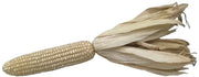 Seeds - Corn Maize White Silvermine - Chile Mojo
