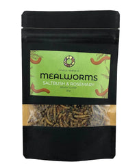 Circle Harvest Mealworm Snacks - Saltbush and Rosemary 20gm - Chile Mojo