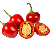 Seeds - Chile Red Hot Cherry Ball - Chile Mojo