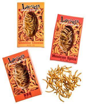 Hotlix Larvets Insect Snack BBQ 2gm - best before Apr 2025 - Chile Mojo