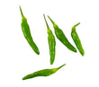 Seeds - Chile Asian Birdseye - Chile Mojo