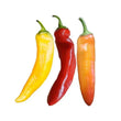 Seeds - Chile Hungarian Yellow Wax - Chile Mojo