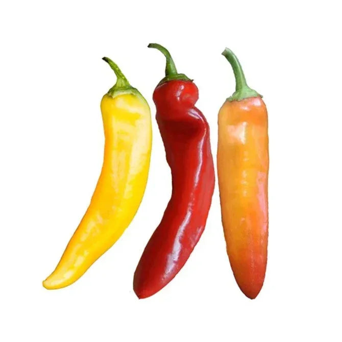 Seeds - Chile Hungarian Yellow Wax - Chile Mojo