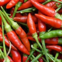 Seeds - chile Thai Birds Eye - Chile Mojo