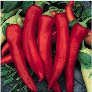 Seeds - Chile New Mexico NuMex Joe E Parker - Chile Mojo