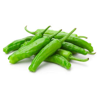 Seeds - chile Shishito - Chile Mojo