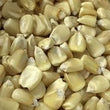Seeds - Corn Maize White Silvermine - Chile Mojo