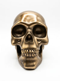 Bronze Skull - 18cm x 10cm
