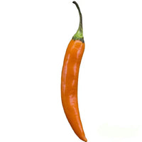 Seeds - chile Cobra Orange - Chile Mojo