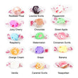 Salt Water Taffy - Assorted Flavor 10 pieces (70gm) - Chile Mojo