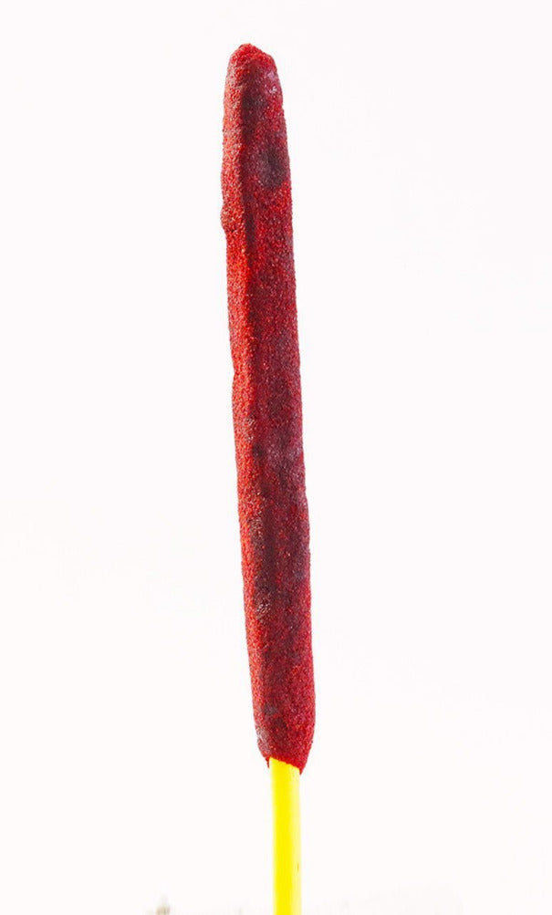 Betamex Tamarind Banderilla Candy Straw