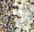 Seeds - Glass Gem Popcorn - Chile Mojo