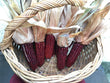 Seeds - Maize Corn Red Aztec - Chile Mojo