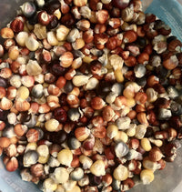 Seeds - Maize Corn Painted Mountain - Chile Mojo