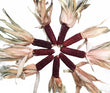 Seeds - Maize Corn Red Aztec - Chile Mojo
