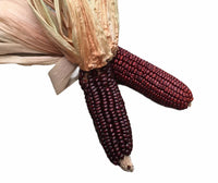 Seeds - Maize Corn Red Aztec - Chile Mojo