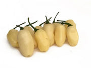 Seeds - Chile Habanero White Jellybean - Chile Mojo