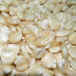 Seeds - Corn - White Hickory King Dent Maize - Chile Mojo