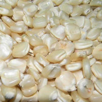 Seeds - Corn - White Hickory King Dent Maize - Chile Mojo