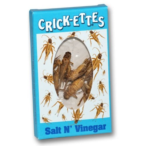 Hotlix Crickettes Salt and Vinegar snack