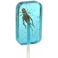 Hotlix Cricket Suckers - mixed box of 36 (9 of each flavour) - Chile Mojo