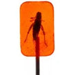 Hotlix Cricket Orange Sucker 28gm - best before Apr 2025 - Chile Mojo