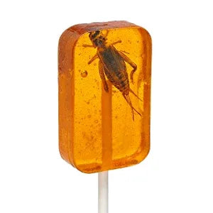 Hotlix Cricket Orange Sucker 28gm - best before Apr 2025 - Chile Mojo